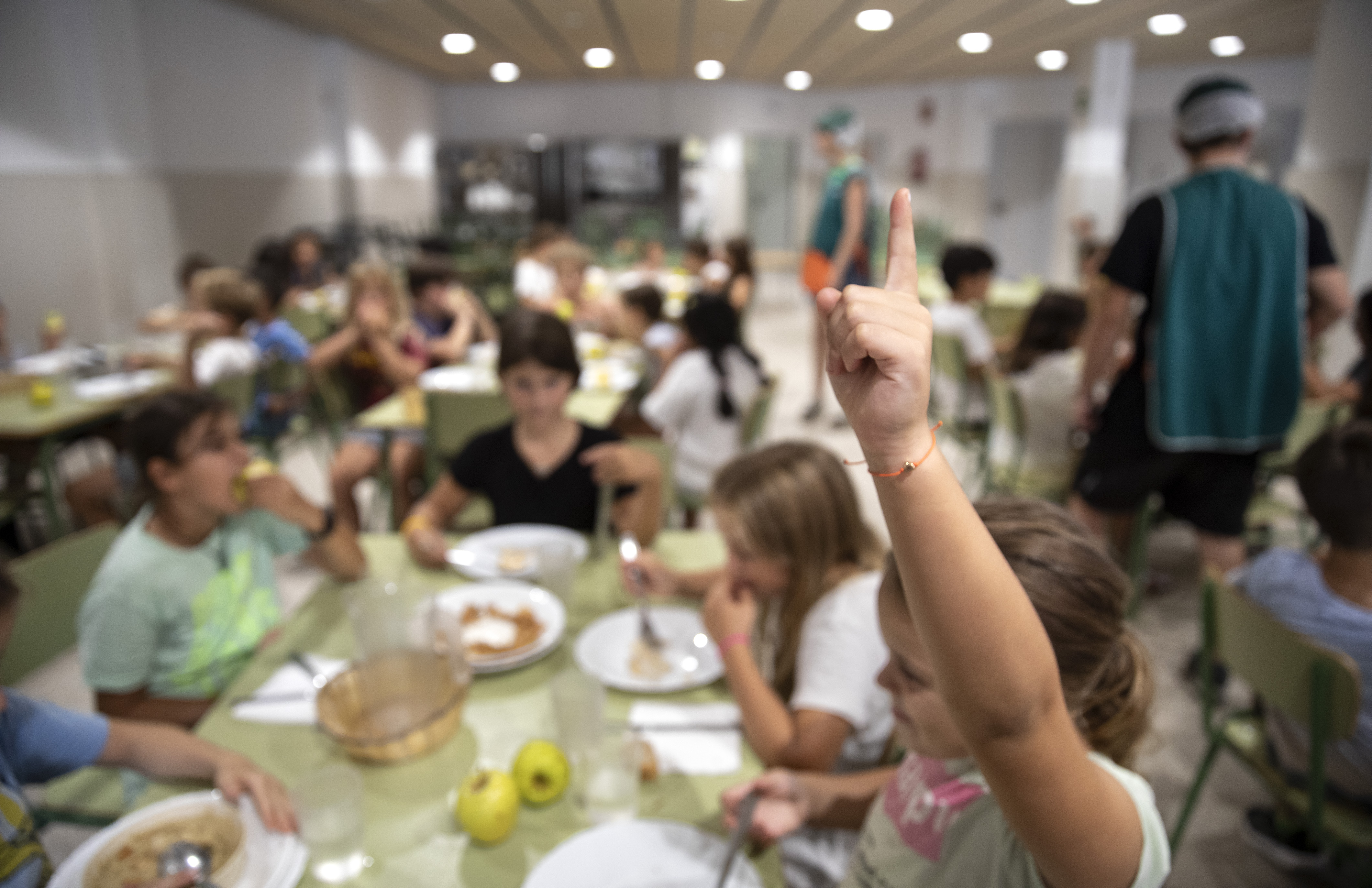 debate abierto: ¿es necesario introducir una asignatura de nutrición en las escuelas?