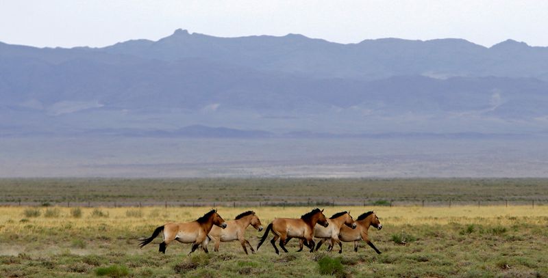 mongolia signs landmark climate finance deal for its grasslands