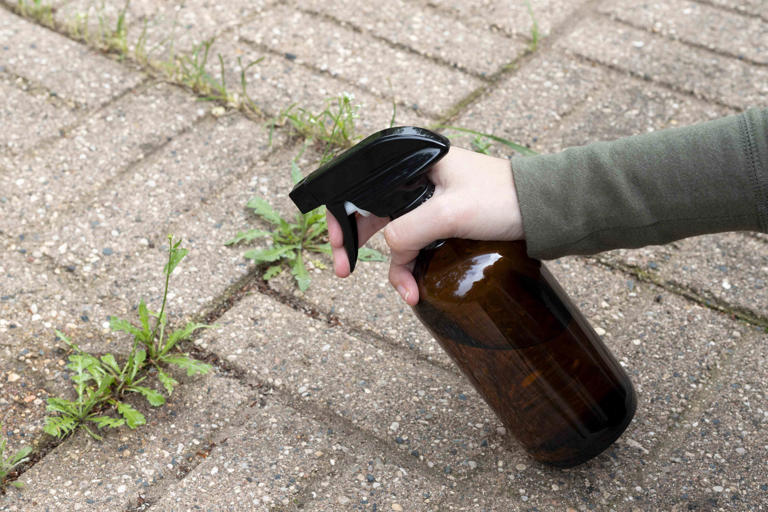 Baking Soda Makes a Great DIY Weed Killer—Here's How to Use It