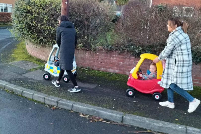 pensioner who mounted footpath and killed dog in front of baby twins given driving ban