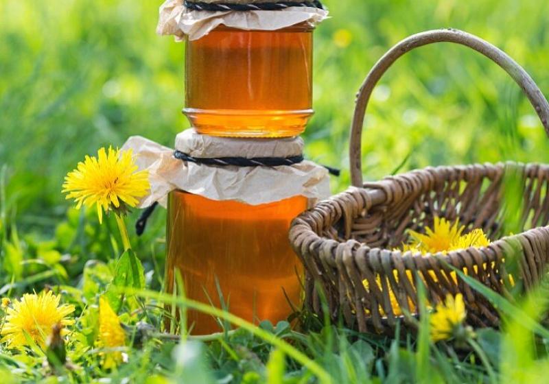 jak na pampeliškový med: zastudena květy nelouhujte, existuje lepší řešení