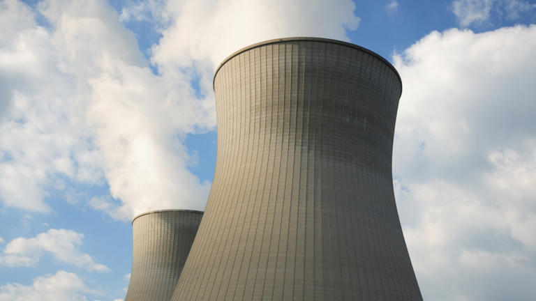 ‘We’re committed’: LNP MP backs nuclear energy amid claims of an ...