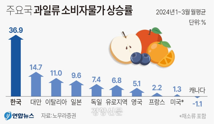 올해 한국 과일·채소값 가장 많이 올라…2위 대만의 2.5배