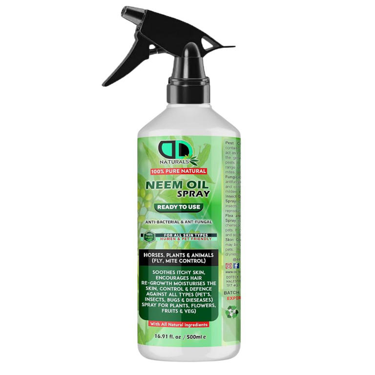 How to get rid of tiny black flies in the house, according to pest ...