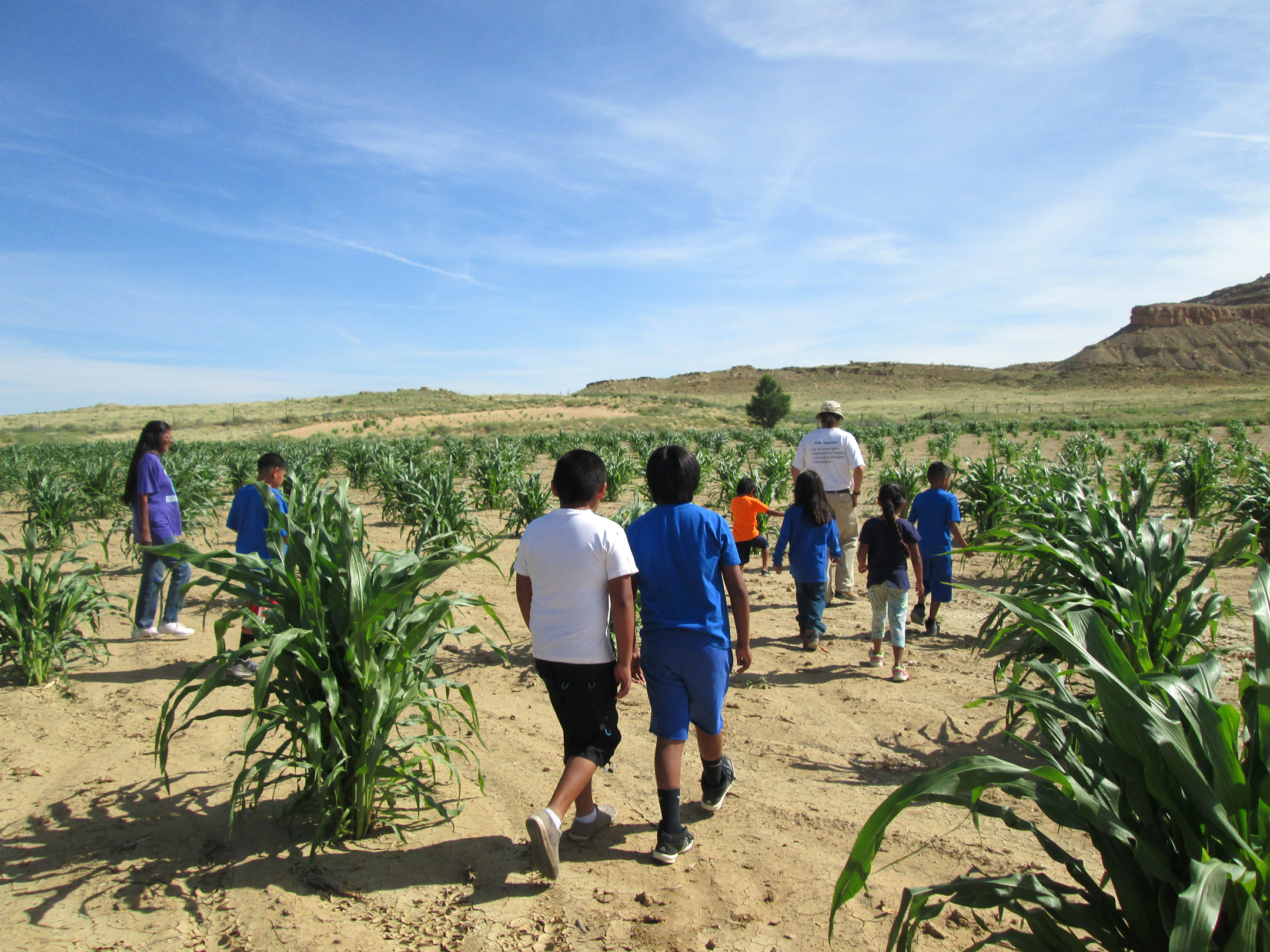 nine practices from native american culture that could help the environment