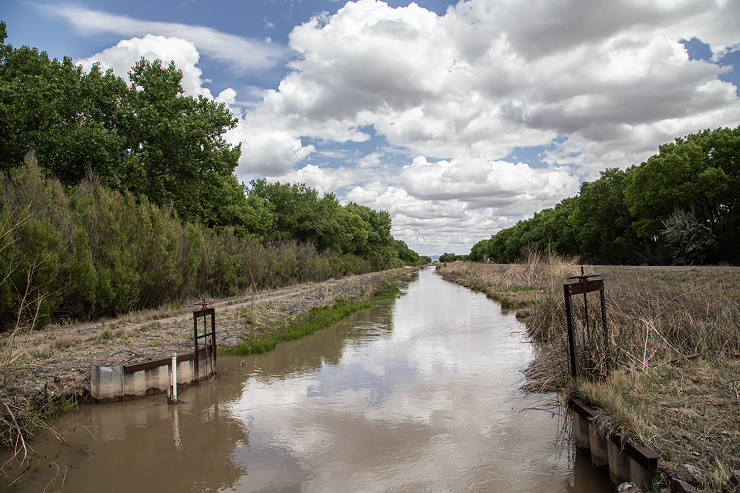 nine practices from native american culture that could help the environment