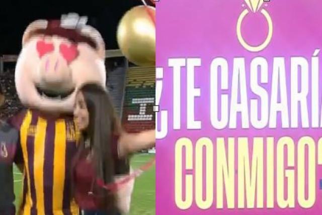 video: momento viral cuando mujer le pide matrimonio a su novio en el estadio