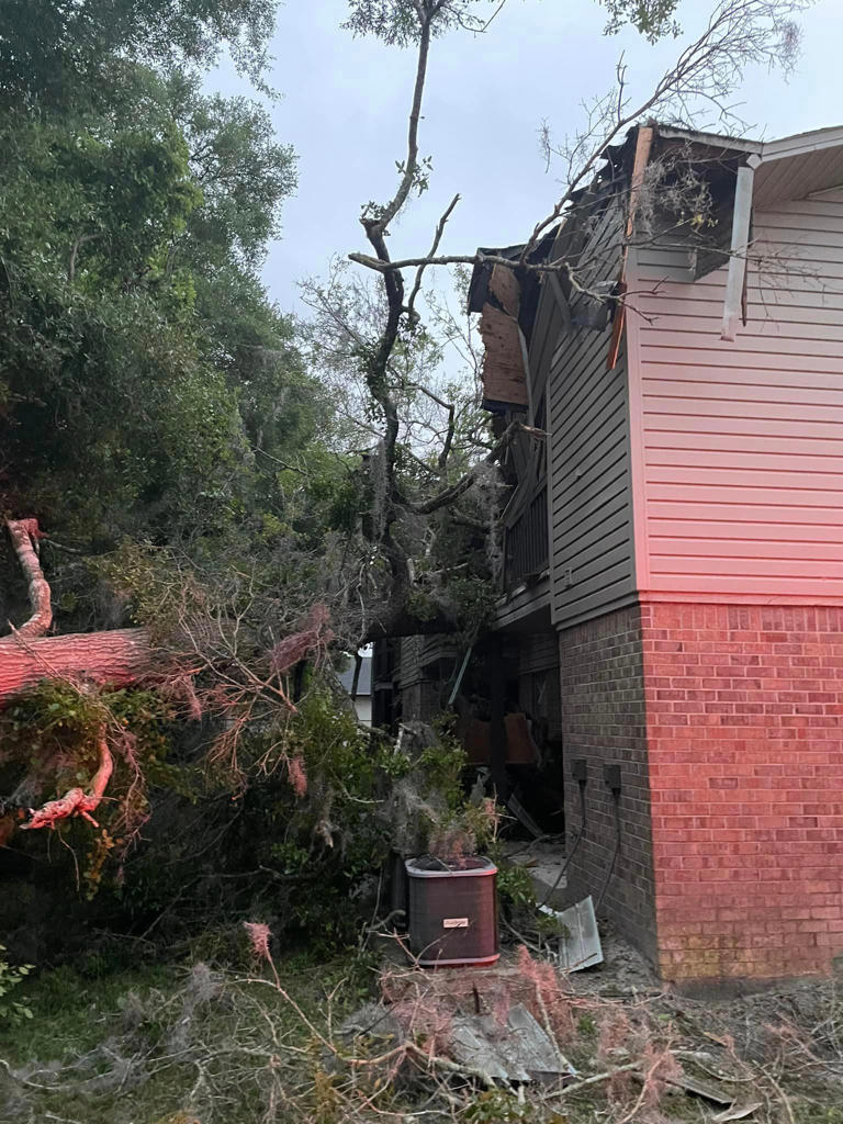 Large oak tree crashes into apartment building in Orange City ...