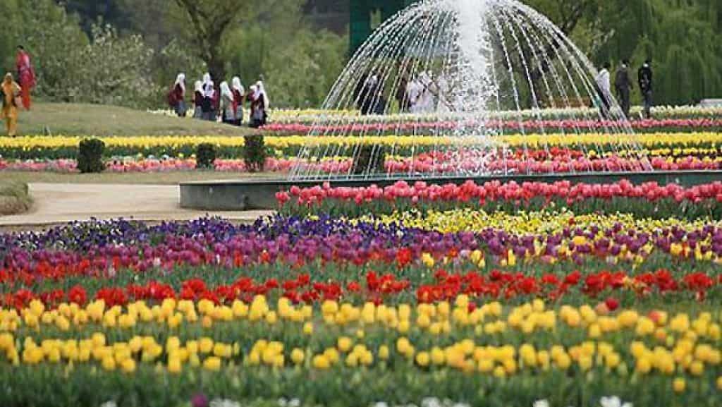 election awareness campaign held in asia’s largest tulip garden in srinagar