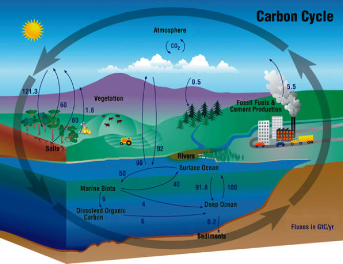 What Is Carbon? Life's Most Crucial Element, Explained