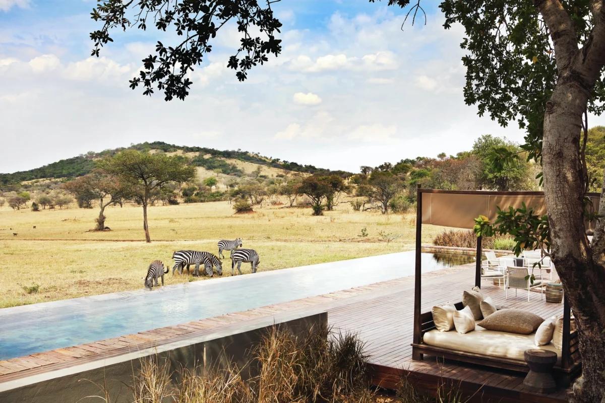 <p>For those who want to experience the thrill of a safari, several private reserves in Africa offer exclusive and luxurious safari experiences. These reserves are located in remote and pristine locations, providing guests with an unforgettable safari experience.</p><p>One such reserve is the <a href="https://singita.com"><strong>Singita Grumeti Reserves in Tanzania</strong>,</a> which offers guests the chance to see the famous wildebeest migration up close. The reserve also offers luxurious accommodations and gourmet meals, making it the perfect destination for those who want to experience the beauty of Africa in style.</p><p>Another reserve is the <strong>Sabi Sabi Private Game Reserve in South Africa</strong>, which allows guests to see the “Big Five” animals up close. The reserve also offers luxurious accommodations and gourmet meals, making it the perfect destination for those who want to experience the thrill of a safari in style.</p>