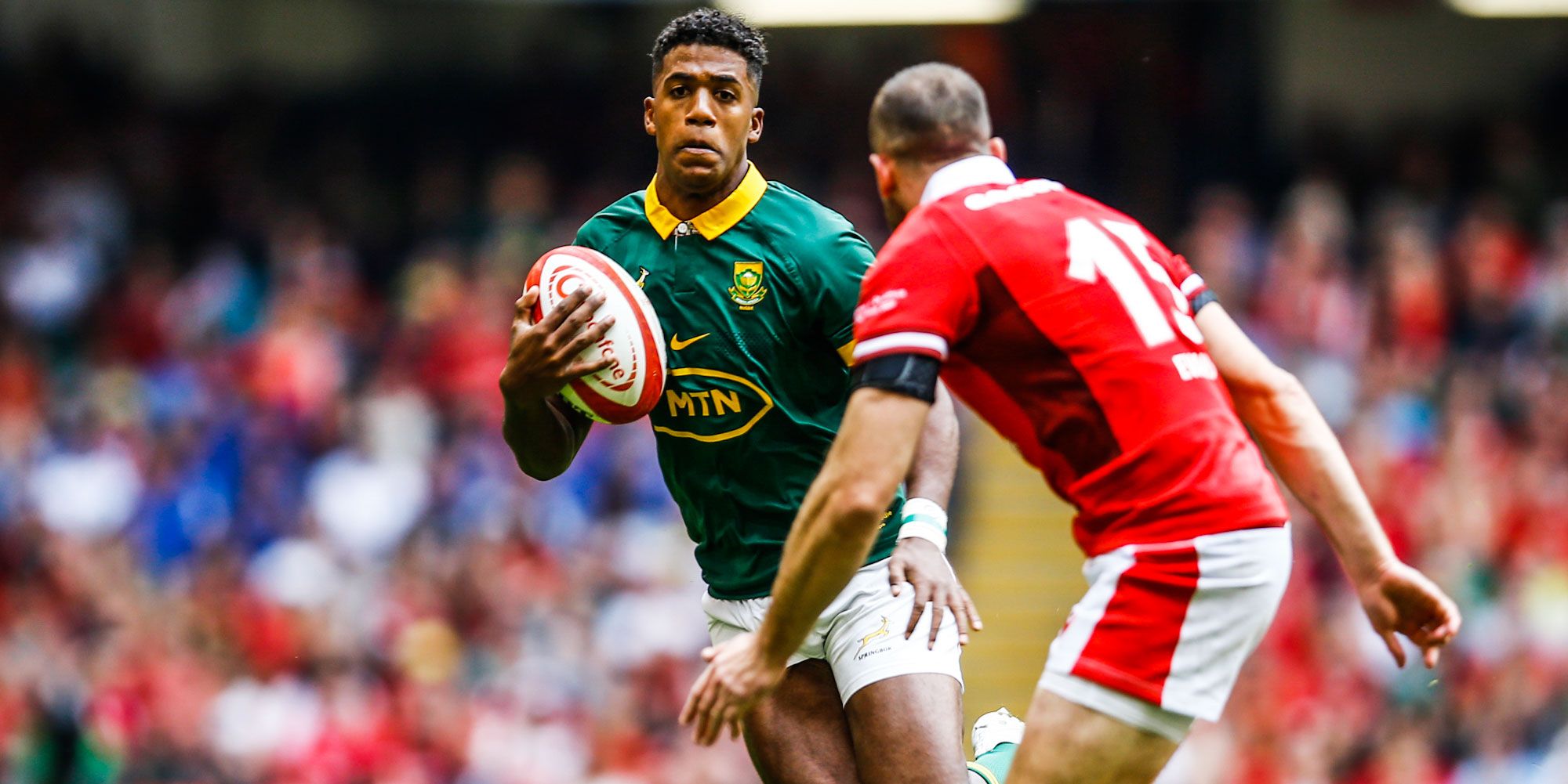 it’s on: springboks set for rematch with england later this year