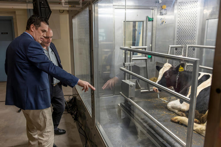 Joseph McFadden inspects one of the new animal emissions chambers at the Cornell College of Agriculture and Life Sciences.