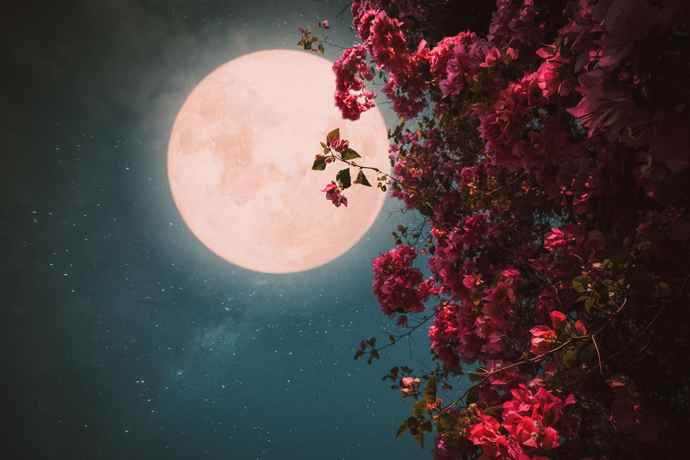 ¿cada cuánto tiempo se puede ver una luna rosa y en qué países se verá mejor en abril?