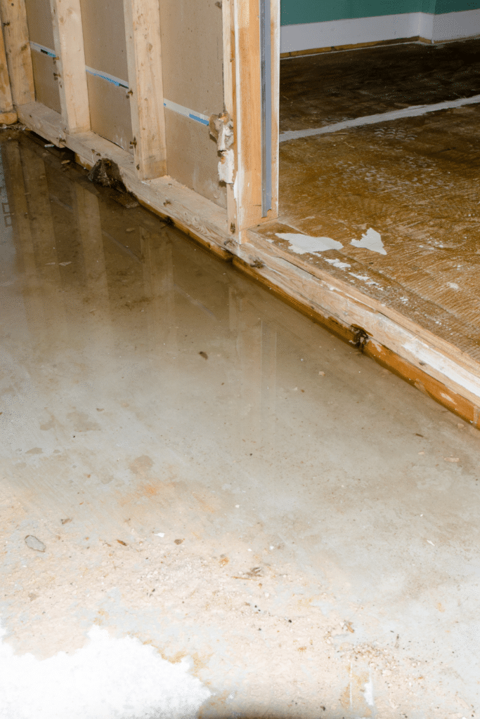 How To Eliminate Musty Basement Smells - Odor Solutions