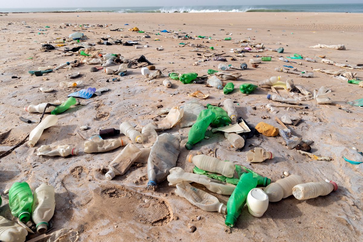 plastikmüll ist das ergebnis eines bequemen lebensstils