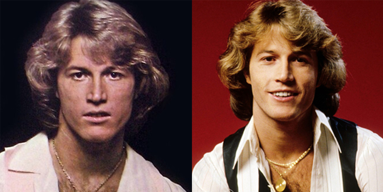<p>Andy Gibb grew up surrounded by the money and fame his brothers had already amassed as the super pop group the Bee Gees. There seemed little reason for young Gibb to throw his hat in the ring but, against all odds, Gibb managed to find his own pop star status. What he didn’t count on were some dark demons that his older siblings had escaped. </p>  <p>Even though he was the last Gibb to arrive,<strong> these demons made him the first one to go. </strong></p>