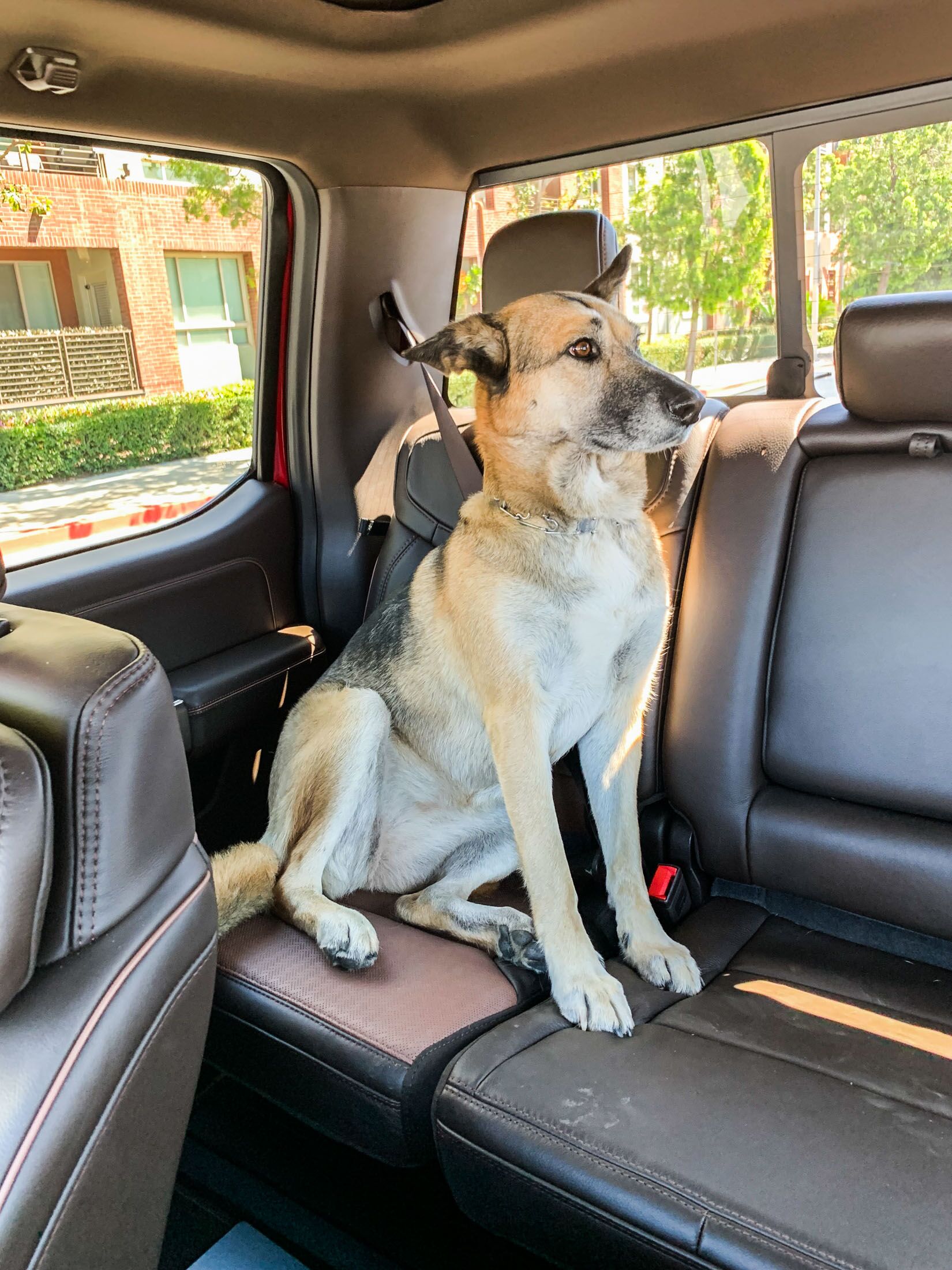 Ford’s F-250 King Ranch Truck Is The Opposite Of The Cybertruck