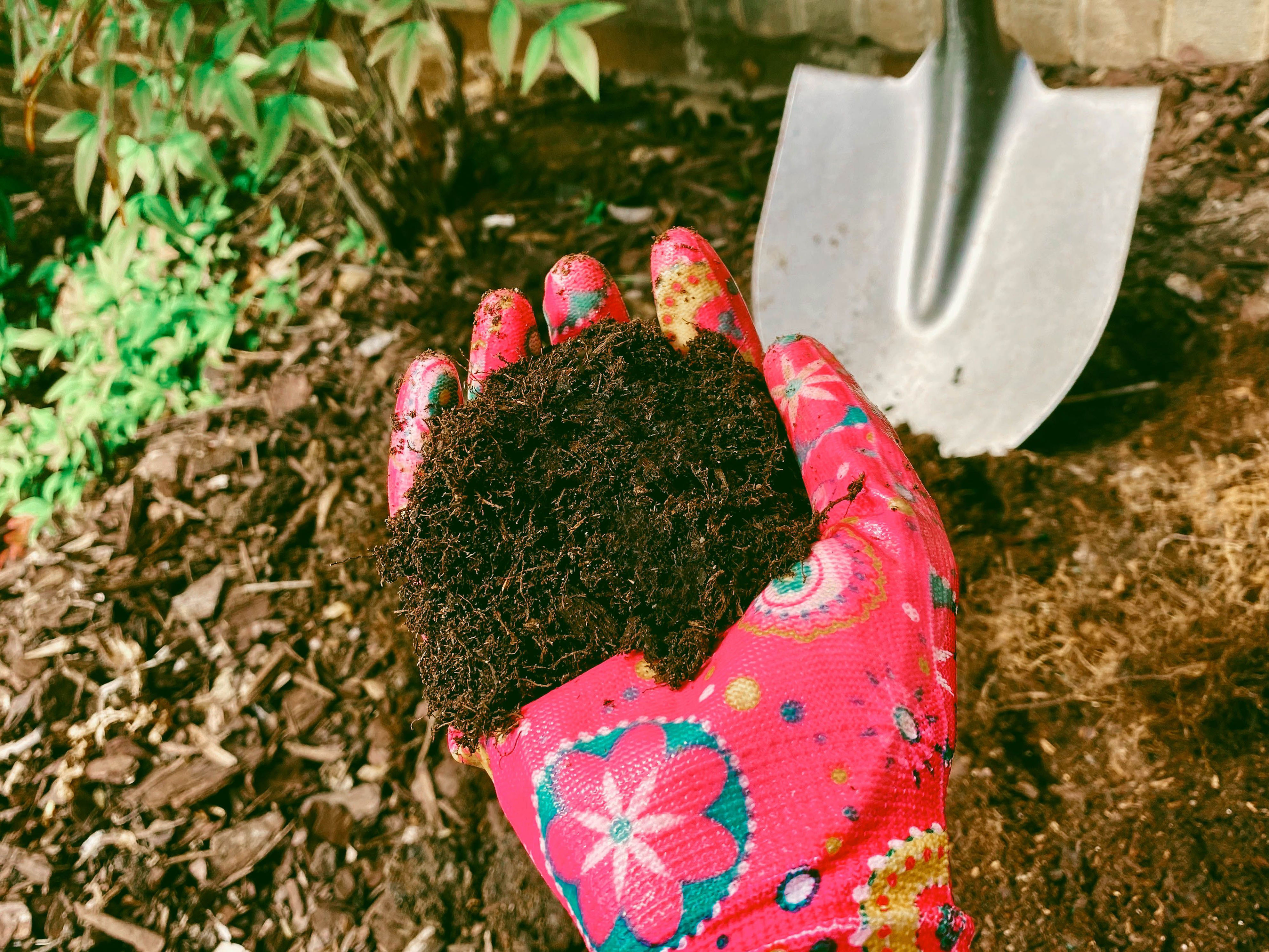 The Best Type of Mulch for Every Kind of Flower Bed