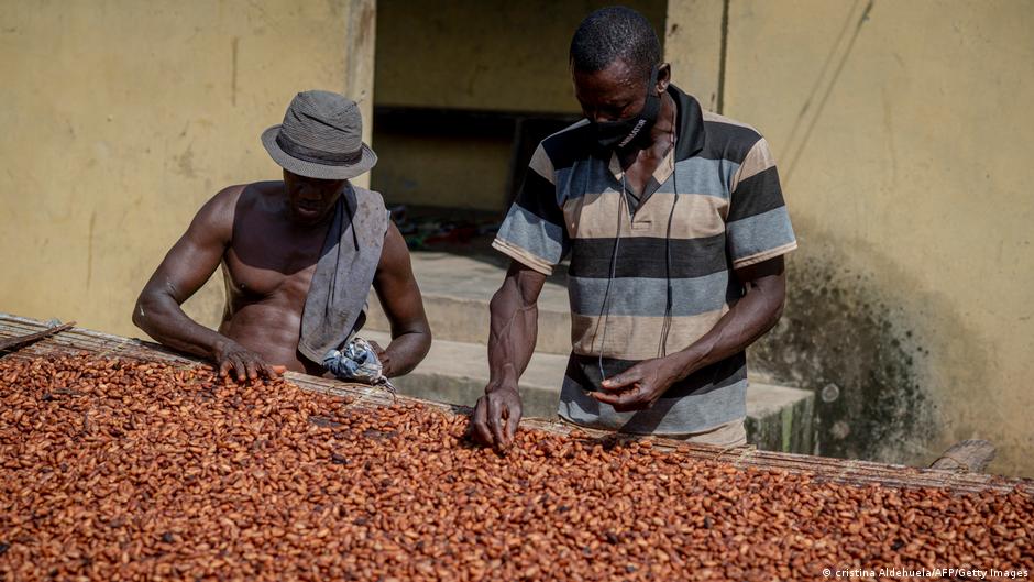 bitter chocolate: africa's cocoa farmers suffer price hikes — and more