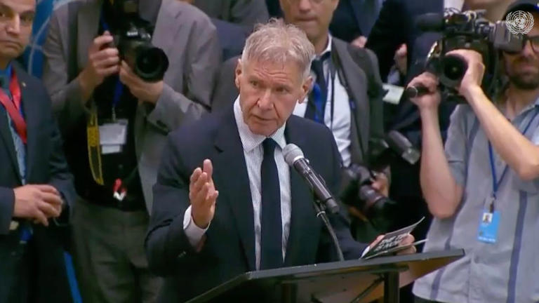 A TikTok video led people to believe Harrison Ford gave a pro-Palestinian speech in favor of protesters who support what they call a free Palestine. UN Web TV