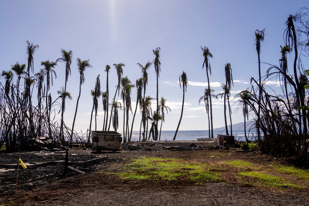 maui officials push back on some details in hawaii attorney general report on deadly wildfire