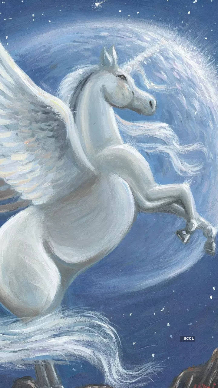 The legend of Unicorn in 10 sentences