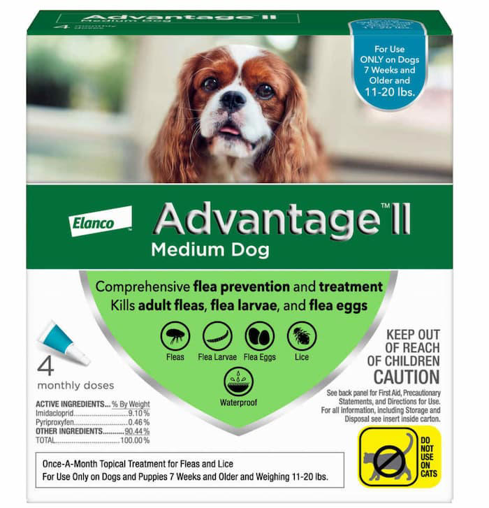 Best otc flea treatment for dogs best sale