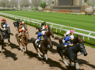 EXCLUSIVE: Madden Gaming Veteran Leads Play-To-Earn Horse Racing Game Photo Finish Into New Growth Phase: 