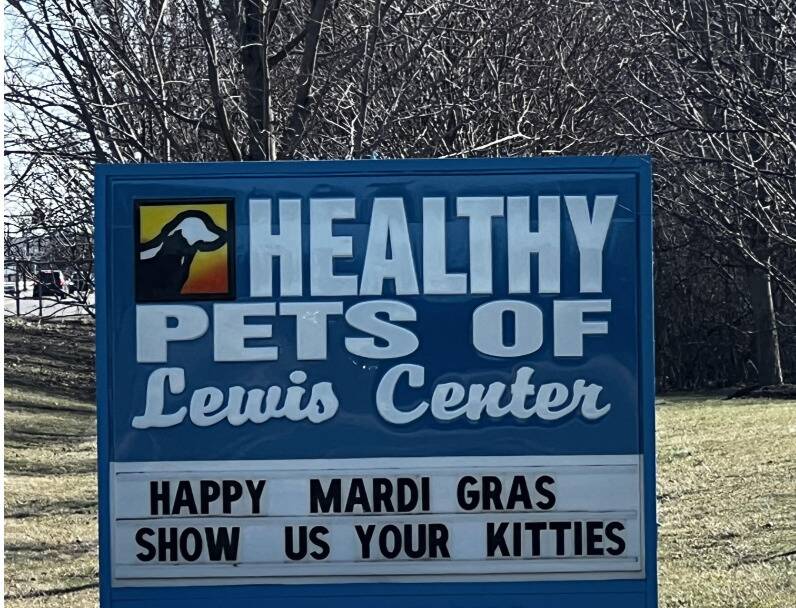 <p>Although this isn't the only vet clinic's sign to make this pun, the occasion they tied it to makes it clearer that they're making one. For other versions, a clueless person might just take it as a simple request and nothing more.</p> <p>However, a holiday as wild as Mardi Gras isn't just going to be an occasion where people show the world their adorable and probably grumpy cats. After all, that shouting and jazz music is probably getting in the way of their 12 hours of sleep that day.</p>