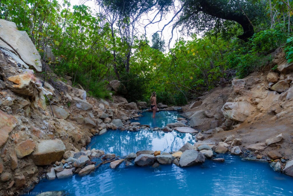 <p><a href="https://explorewithalec.com/santa-barbara-hot-springs/">Learn all about this hike. </a></p>