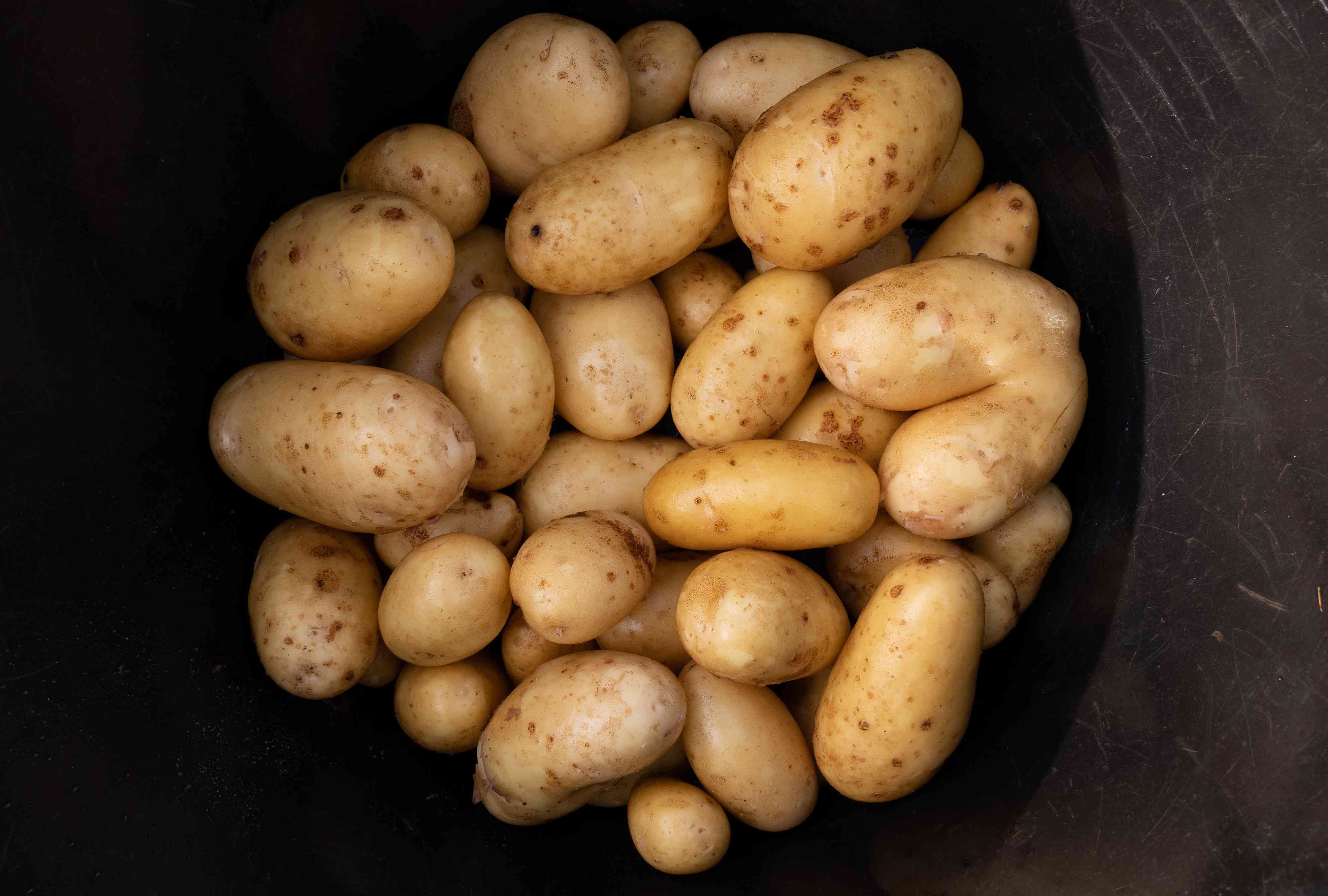 why you should never store your potatoes in the refrigerator