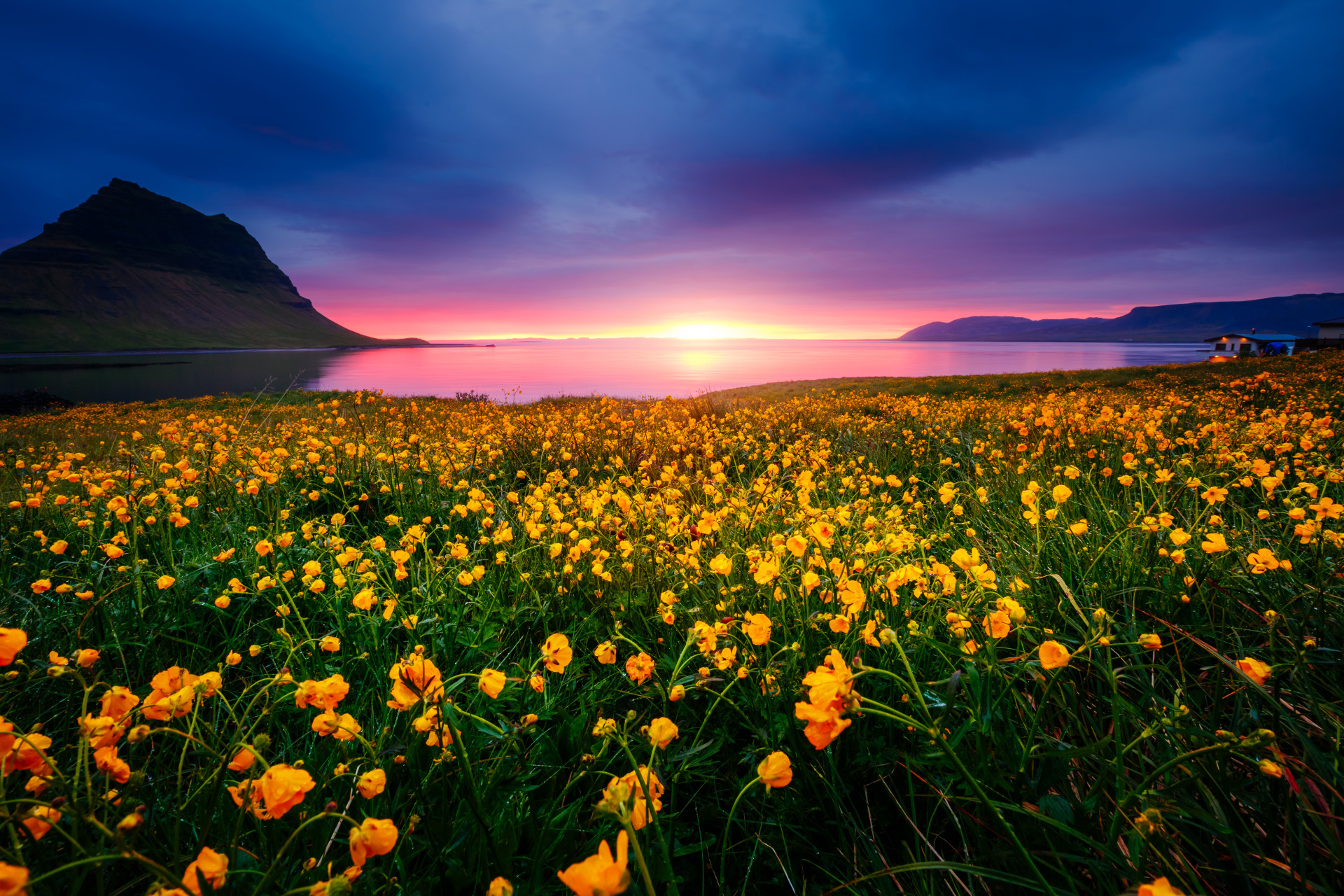 Cet endroit est particulièrement représentatif de l'Islande: de magnifiques champs de fleurs, des cascades et le majestueux mont Kirkjufell en arrière plan.<p><a href="https://www.msn.com/fr-fr/community/channel/vid-7xx8mnucu55yw63we9va2gwr7uihbxwc68fxqp25x6tg4ftibpra?cvid=94631541bc0f4f89bfd59158d696ad7e">Suivez-nous et accédez tous les jours à du contenu exclusif</a></p>
