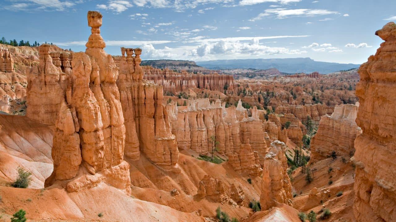 <p>Bryce Canyon and Zion, two of the most beloved parks in the country, aren’t far from Arches, Canyonlands, and Capitol Reef. </p><p>Driving through Bryce Canyon, you’ll notice the tall columns of misshapen rocks. These are called hoodoos, and <a href="https://www.nps.gov/brca/index.htm" rel="nofollow noopener">Bryce Canyon has the largest concentration</a> in the world. After walking between the stone giants, you can hop in your car and drive over to Zion. While you can drive around a large portion of Zion, you’ll need to ride in a tram to explore the Zion Canyon Scenic Drive during peak season. Hiking is one of the most popular activities in Zion, including two renowned hikes, <a href="https://www.nps.gov/zion/planyourvisit/thenarrows.htm" rel="nofollow noopener">The Narrows</a> and Angels Landing.</p>