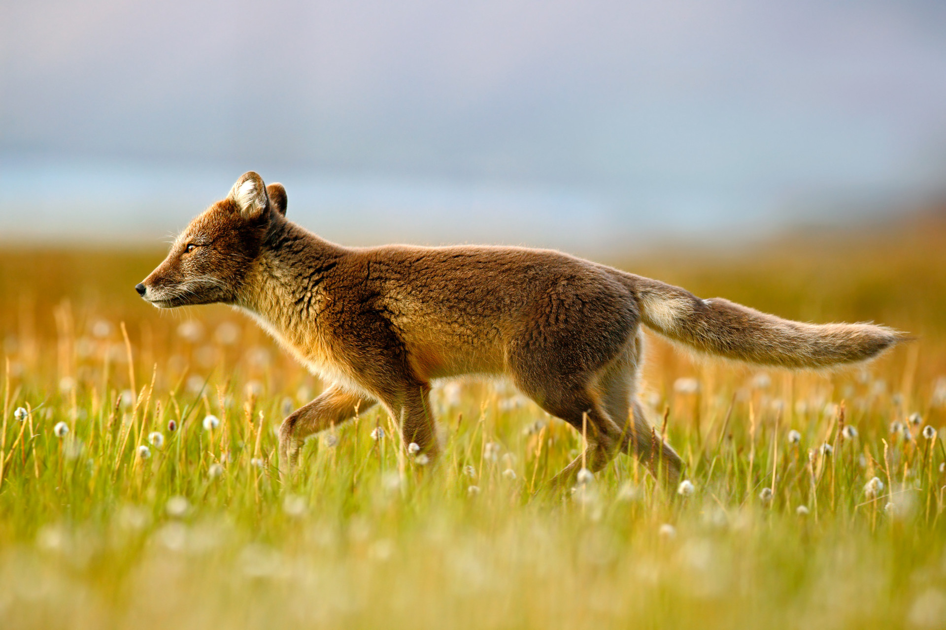 10 of the best discount travel sites