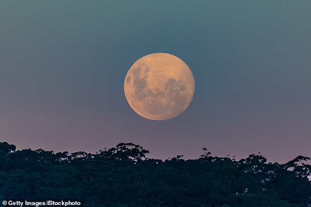 look up tonight! full pink moon peaks this evening