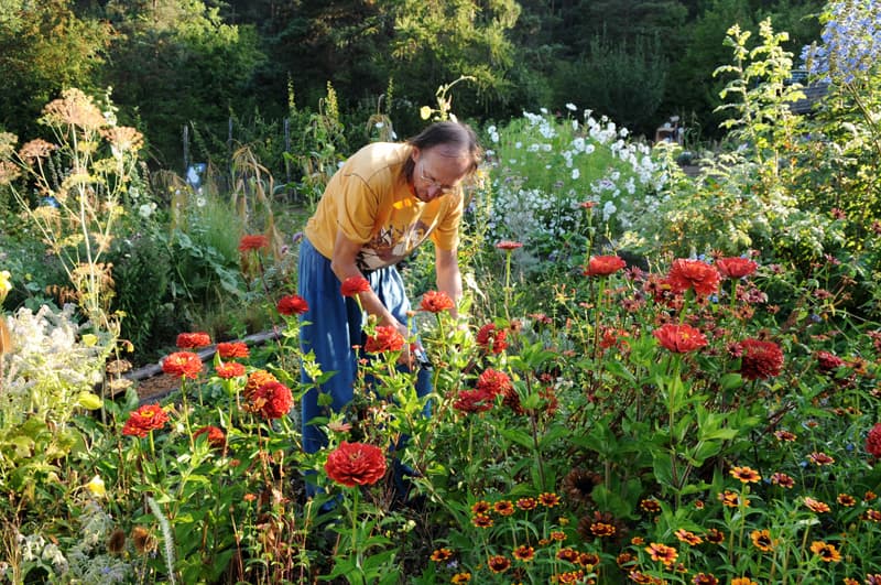 comment profiter d'un crédit d'impôt de 50% sur ses travaux de jardin?