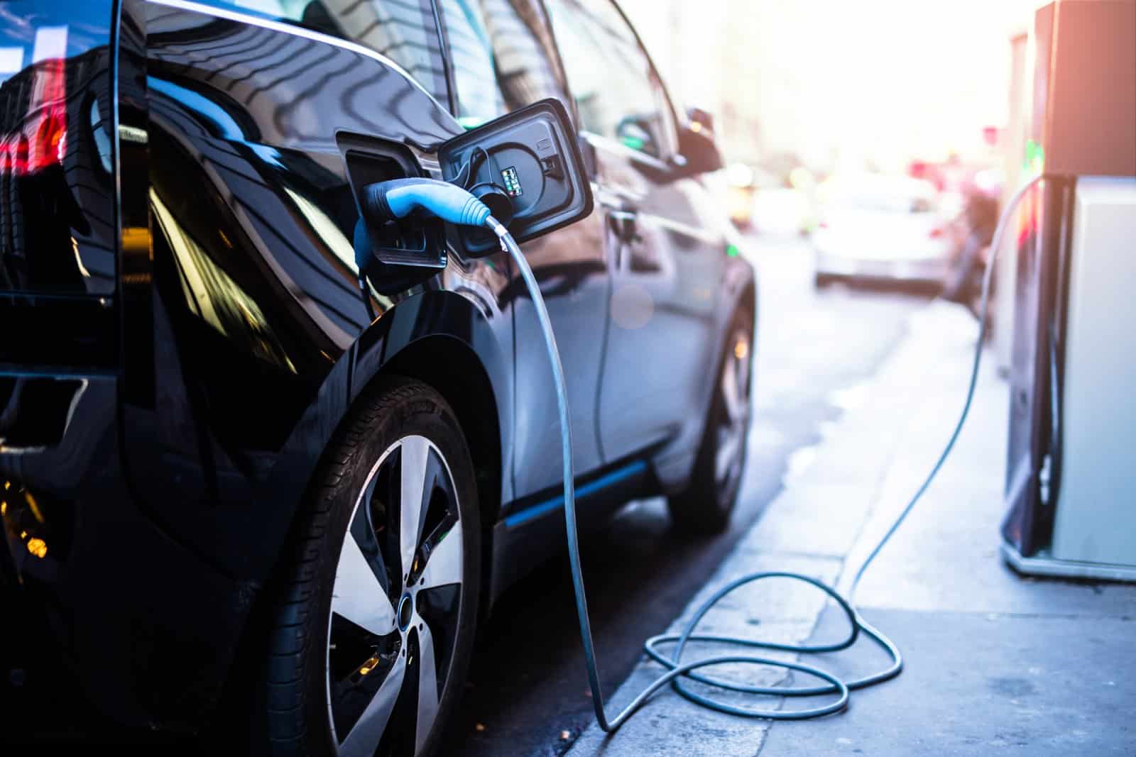 <p class="wp-caption-text">Image Credit: Shutterstock / guteksk7</p>  <p>Driving anything but a hybrid or electric vehicle is looked down upon, and not having a compost bin is akin to a mortal sin.</p>