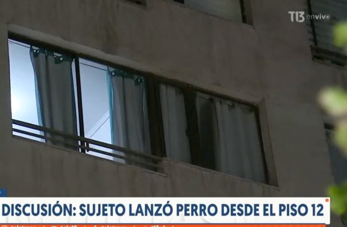sujeto lanzó perro del piso 12 de edificio del centro de santiago en medio de discusión con su pareja