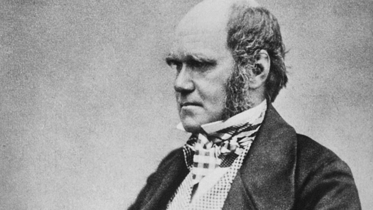 <p>Charles Darwin’s theory of evolution, published in 1859, contradicted what many religious and scientific circles believed at the time. Despite abundant evidence from fields such as paleontology, genetics, and comparative anatomy, acceptance of evolution took many years and continues to be contested by some.</p><p>Darwin’s theory revolutionized disciplines beyond biology. <a href="https://www.ncbi.nlm.nih.gov/pmc/articles/PMC3352556/" rel="nofollow noopener">Studies</a> have shown it helps us understand the fundamental principles of human life in other scientific fields, such as anthropology, psychology, and medicine. It also provides insight into the origin of diseases.</p>