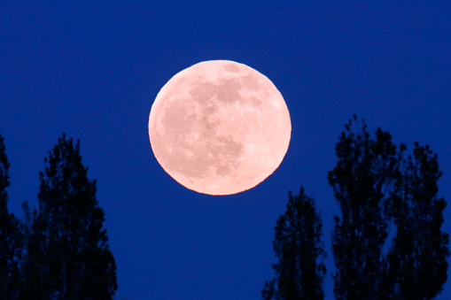 a pink moon is about to dazzle the uk