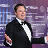 Elon Musk is waging war on multiple fronts — and now Australia is in the firing line<br>