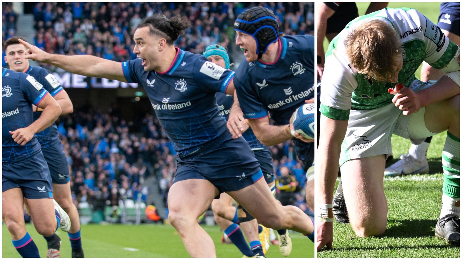 loose pass: leinster becoming a ‘runaway monster’, rotation problems and newcastle falcons concern