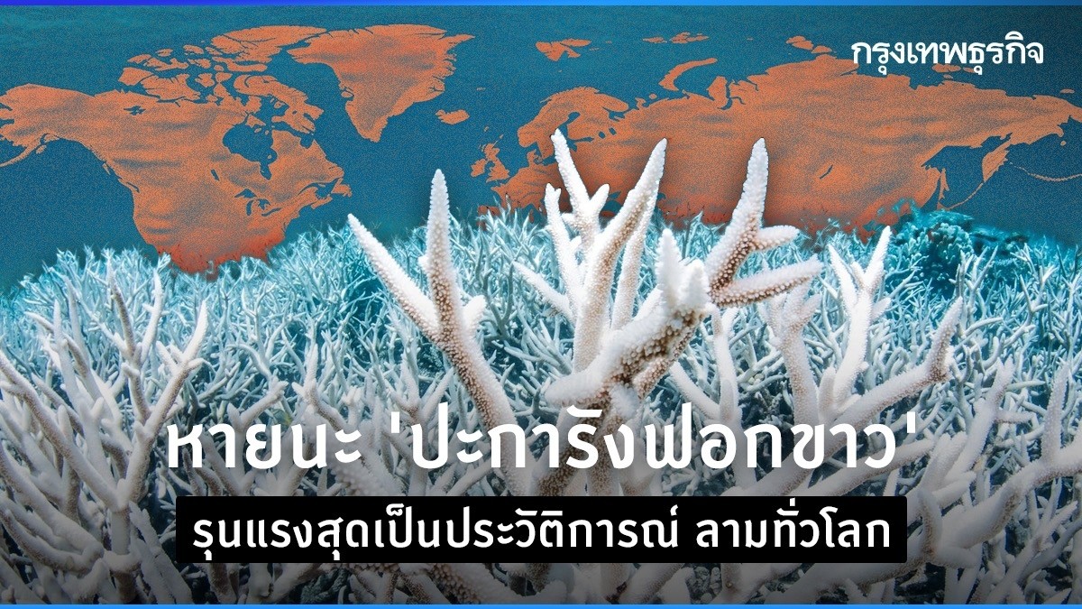 หายนะ ‘ปะการังฟอกขาว’ รุนแรงสุดเป็นประวัติการณ์ ลามทั่วโลก