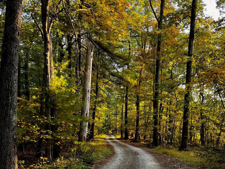 Discover Centre County’s Scenic Trails