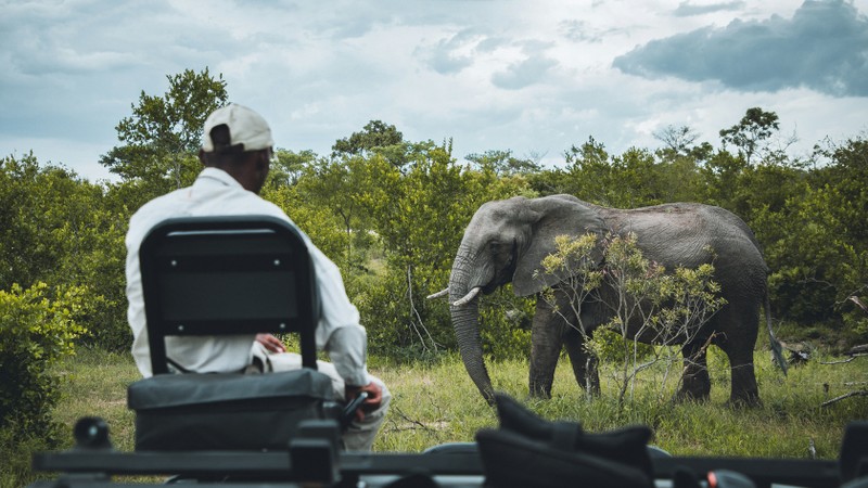 5 things that makes the kruger national park a 'goated' destination