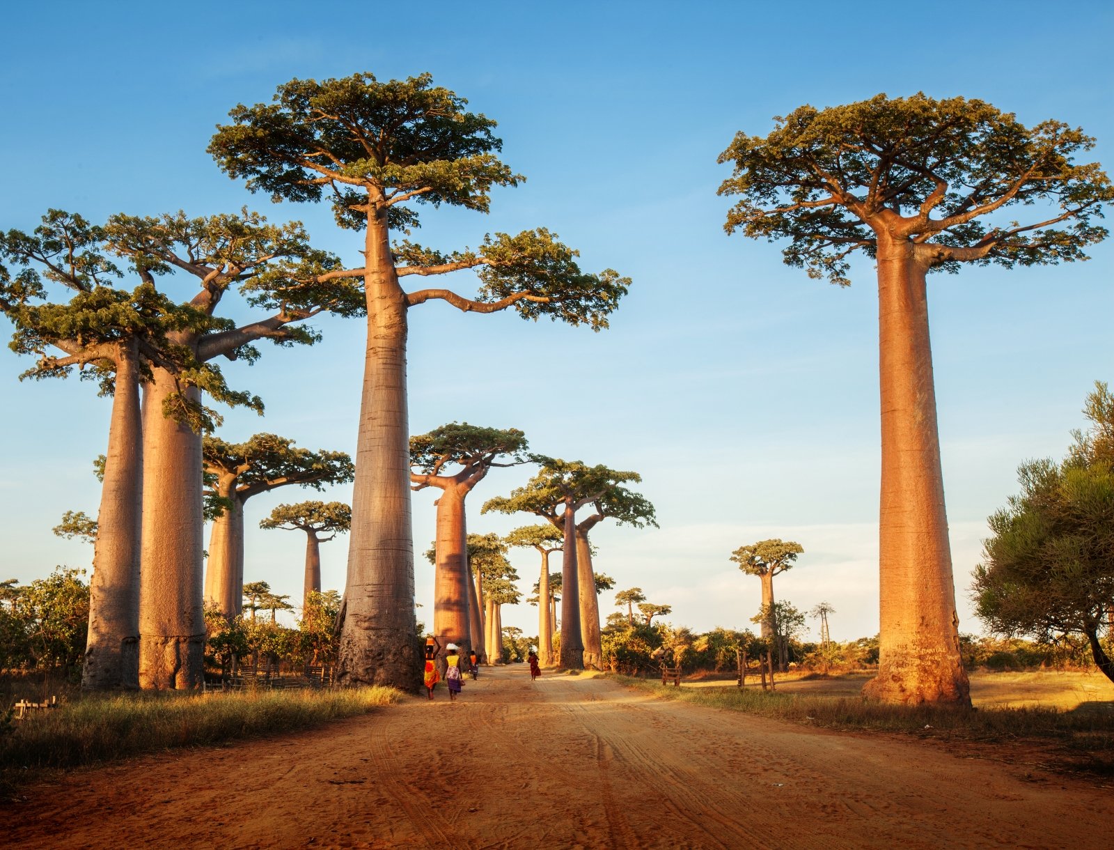 <p>Africa is a vast continent with a plethora of diverse and unique destinations. However, there are still some hidden gems that have yet to be discovered by the masses. Here are three must-visit places in Africa that you may have never heard of before.</p>