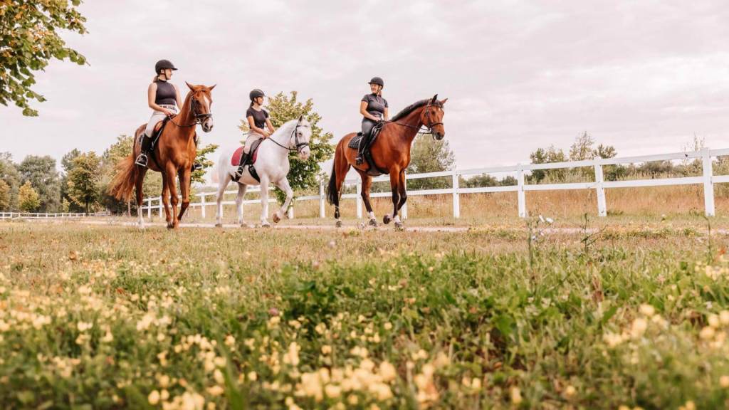 <p>Lined with stone-built houses, Apeiranthos Village is more than a pretty site. Horseback riding is an exciting activity for animal lovers and adventurers alike.</p><p>You can gallop across various terrains, witness the gorgeous sites as you pass them, and feel the wind blowing across your face. The staff will show you how to handle the horse so that you’re comfortable before taking the reigns.</p><p class="has-text-align-center has-medium-font-size">Read also: <a href="https://worldwildschooling.com/small-towns-in-europe/">Charming Small Towns in Europe</a></p>