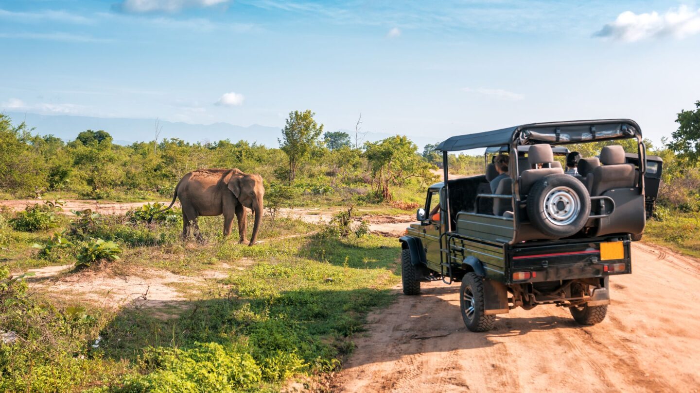 <p>As the trend of safari vacations gains popularity, Kenya continues to emerge as a sought-after destination for thrill-seeking families. With its diverse range of wildlife, including lions, elephants, and rhinos, children will be thrilled to witness these animals up close after having only seen them on TV.</p>