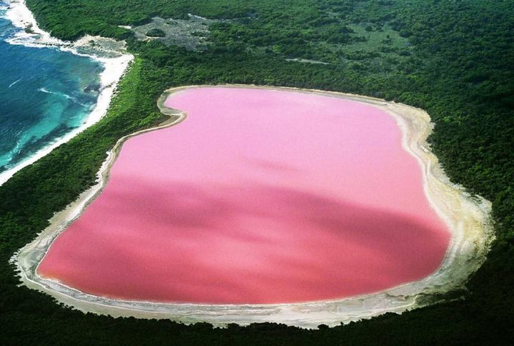 <p>What a beauty to behold! Senegal’s Lac Rose, or Pink Lake, is a natural wonder renowned for its vibrant pink hue caused by high concentrations of salt-loving algae. This surreal environment, surrounded by dunes and crystalline waters, creates a mesmerizing sight that seems like a fairy tale.</p>